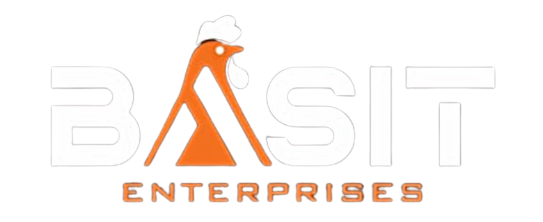 basitenterprise.com